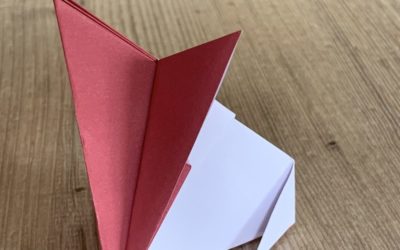 Renard origami