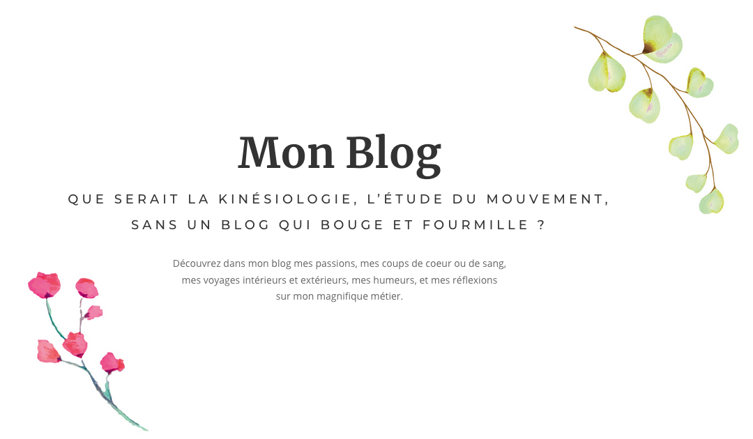 Blog nur auf Französisch